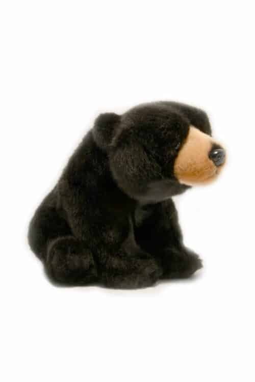 Wild Ireland - A plush toy bear with a soft black fur body and a light brown snout. It is positioned sitting down against a plain white background.