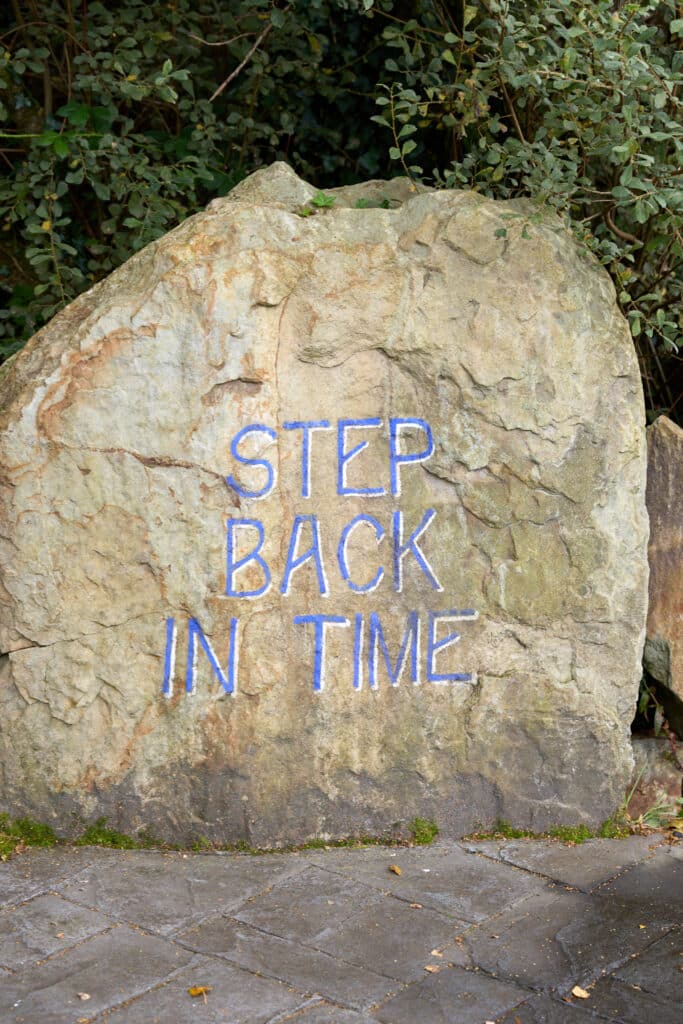 Wild Ireland - A large rock with the words STEP BACK IN TIME painted in blue. The rock is set against a background of green foliage, and there is a paved path in front of it.