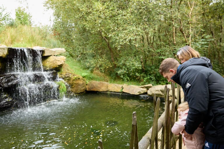 Wild Ireland - A group of three people stand at a wooden fence, looking at a pond. A waterfall flows into the pond, surrounded by rocks and greenery. The scene is outdoors with trees in the background.