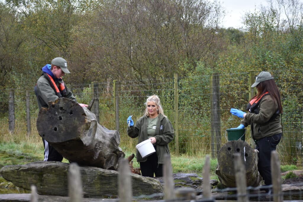 Wild Ireland - Three people in outdoor gear work near large wooden logs, holding buckets and wearing gloves. They appear to be in a natural setting with trees and a wire fence in the background.