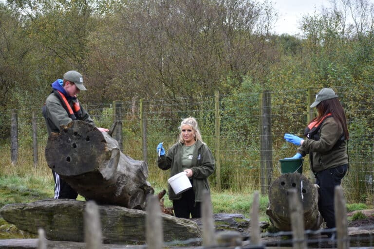 Wild Ireland - Three people in outdoor gear work near large wooden logs, holding buckets and wearing gloves. They appear to be in a natural setting with trees and a wire fence in the background.