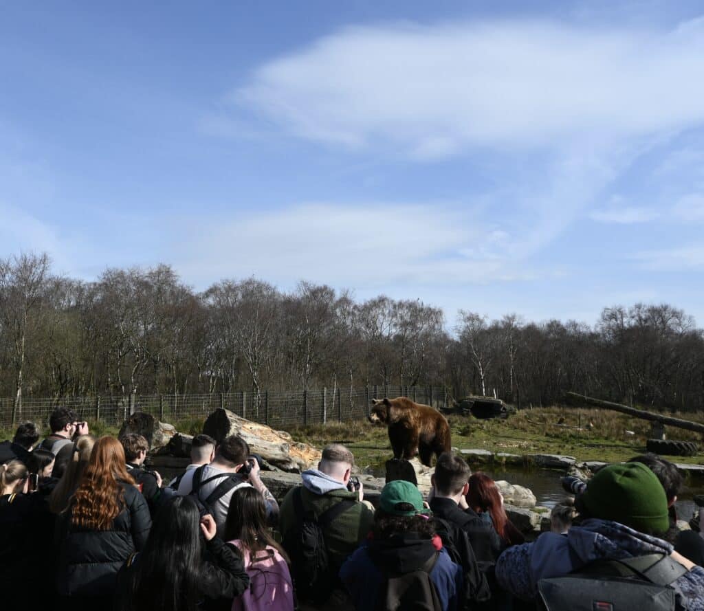 Wild Ireland - A crowd of people stands outside facing a brown bear in an outdoor enclosure with rocks, water, and trees in the background under a blue sky with wispy clouds.