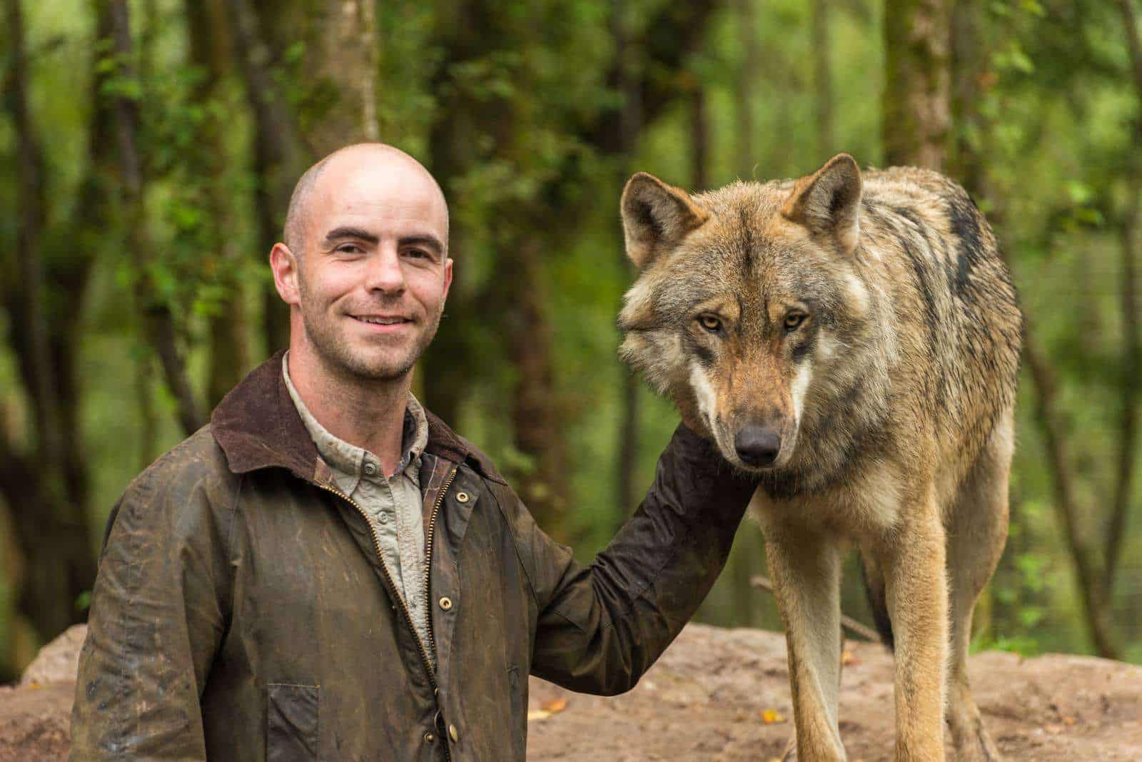 Do Wolves Pose A Danger To Humans?