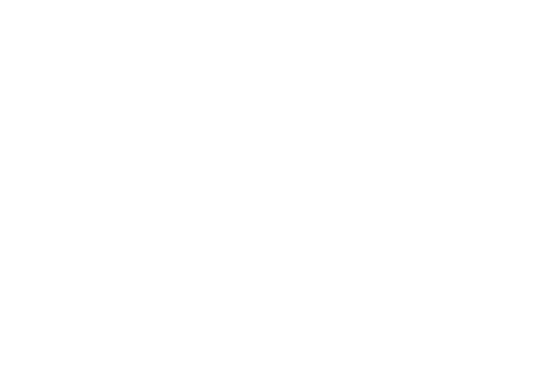 Wild Ireland - The image features the words WILD IRELAND in bold white letters on a green background. The silhouette of a howling wolf is incorporated into the letter W.