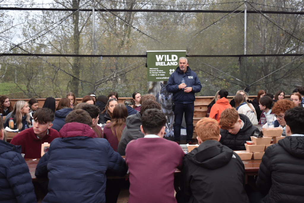 Wild Ireland - A group of people sit at picnic tables outdoors, listening to a speaker standing in front of a Wild Ireland sign. The area is enclosed with netting, and trees are visible in the background.